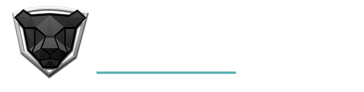 RELEASE by FELIS