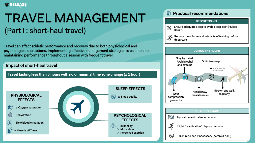 TRAVEL MANAGEMENT