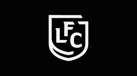 Interview with Jean-Marie Fayard - Lateral collateral ligament sprain of the knee