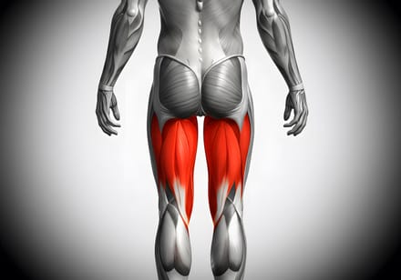 Hamstring Injuries: Injury Mechanisms, Risk Factors, Prevention Strategies